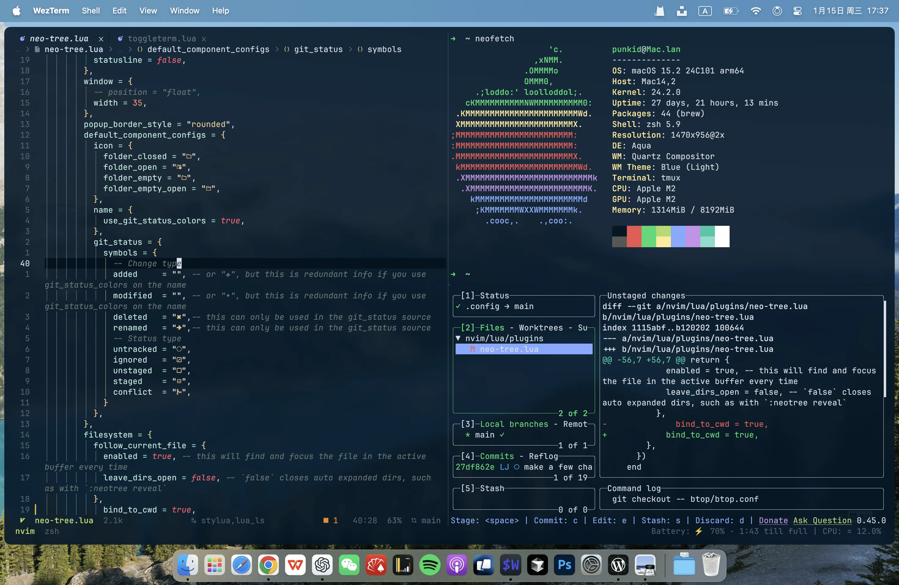 NeoVim in terminal